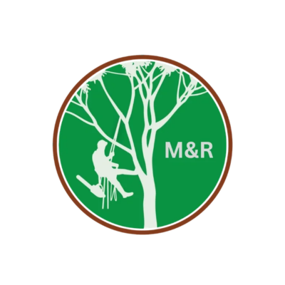 M&R Tree services